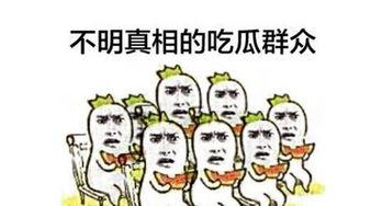 大妈嗑瓜子吃瓜群众,一场街头瓜子的社交盛宴