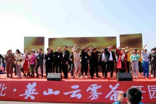 网红是不是都是团队人员,团队运作下的网络红人现象