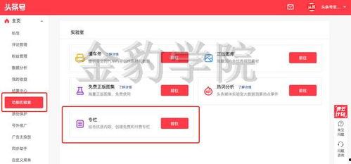 头条号专栏付费功能关闭,影响与未来展望”