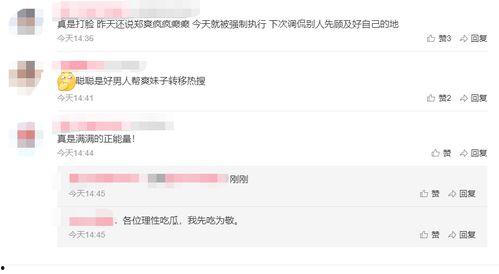 外网评论吃瓜船,网络热议背后的真相与反思