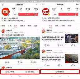 广东梅州今日头条小程序