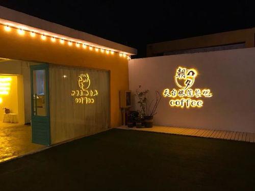 网红店花瓶店最火,最火花瓶，引领潮流新风尚