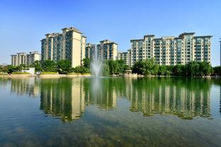 洛阳头条新房价格,投资与自住两相宜