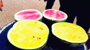 吃瓜爆料地址是什么,吃瓜爆料神秘地址大揭秘！