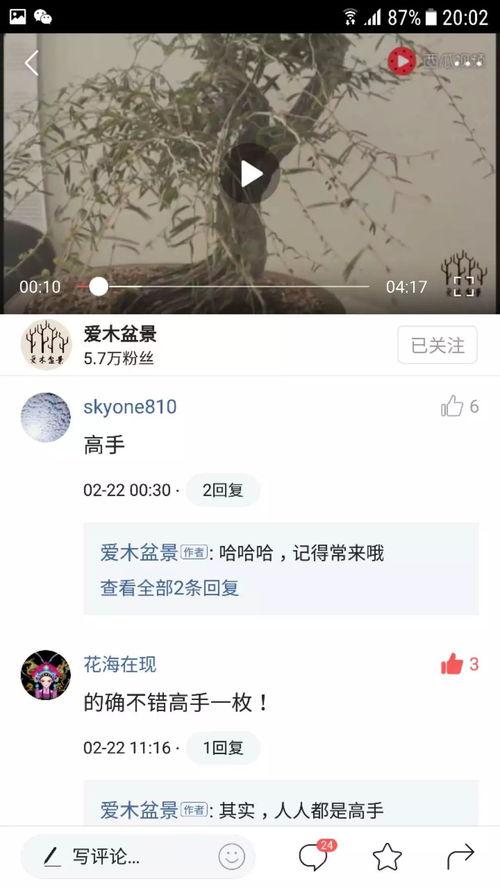 为什么头条有人点赞评论,头条爆款内容背后的点赞与评论奥秘”