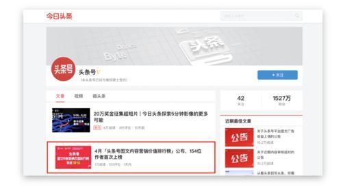 头条号创业领域大v,头条号创业红人深度解析