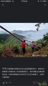 宁国新闻头条,聚焦城市发展新篇章，共绘美好未来蓝图