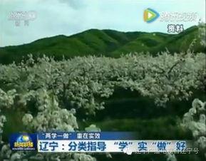 新闻头条山西武乡县天气,多地出现暴雨洪涝灾害