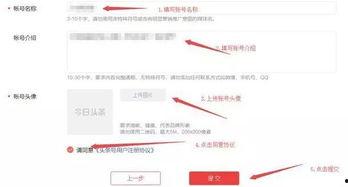 头条号认证过了怎么赚钱,轻松开启多元赚钱之路的五大策略